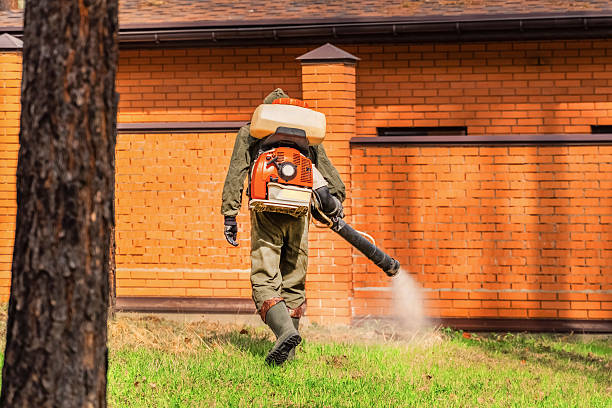 Bed Bug Clearance Verification and Documentation in Pingree Grove